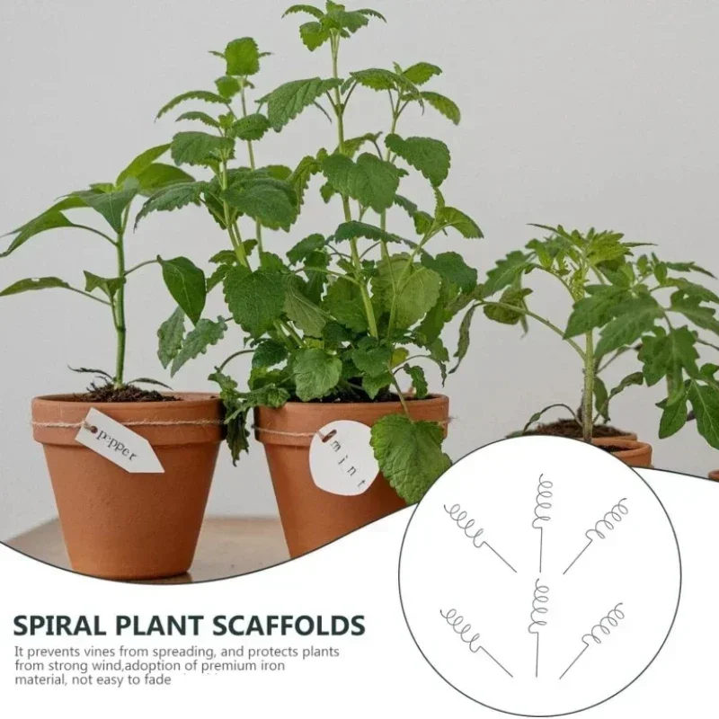 Bonsai Gardener - Kletterpflanzen-Stützstange, Rankgitter, Tomatenspiralen, Langlebige Bonsai-Metallspiralstangen für