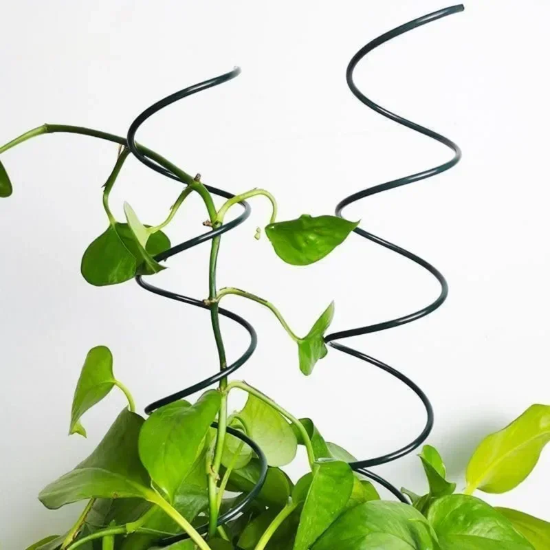 Kletterpflanzen-Stützstange, R – Bonsai Gardener Bewertung und Preis