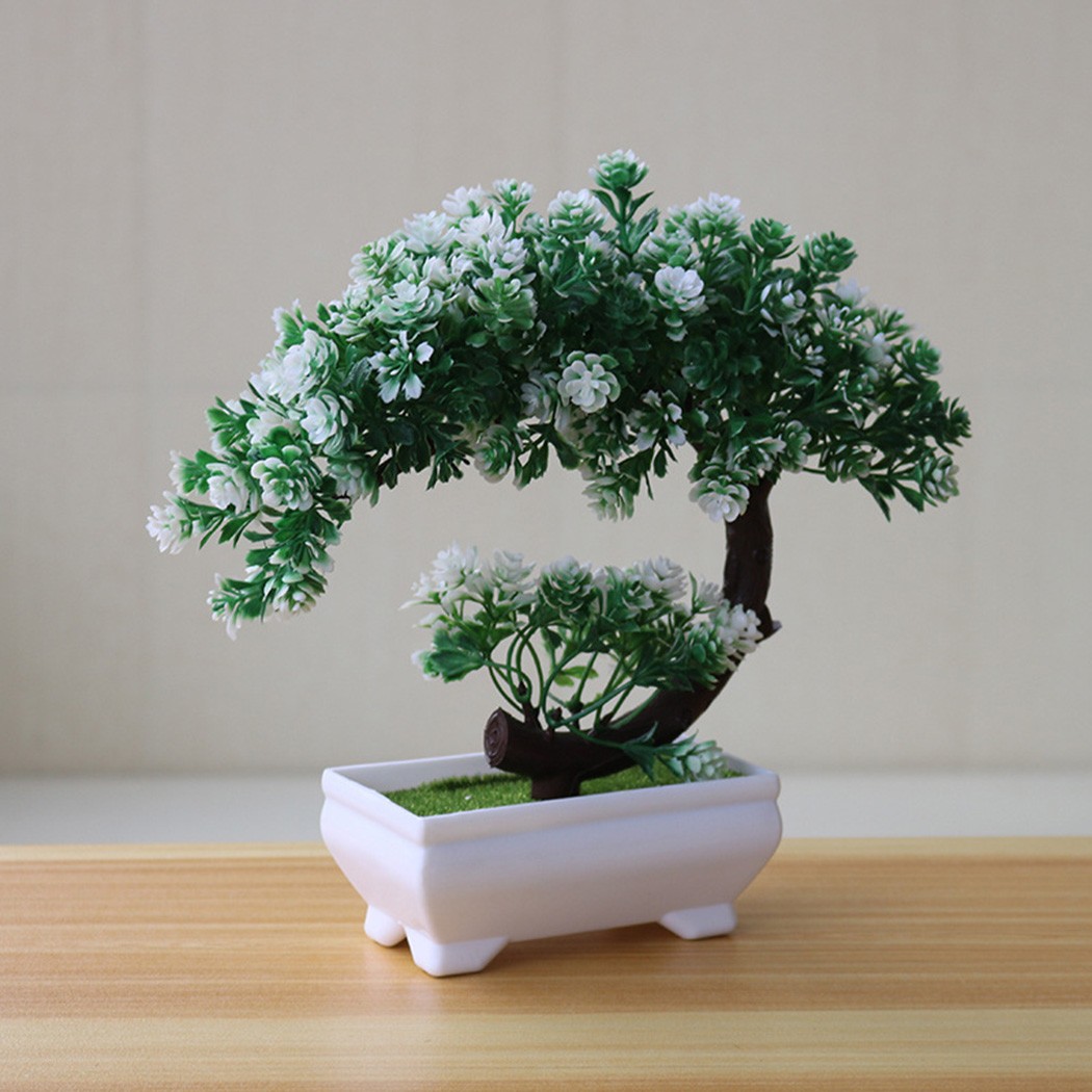 Kunststoff-Bonsai-Ornament im  – Bonsai Garden Desk Bewertung und Preis