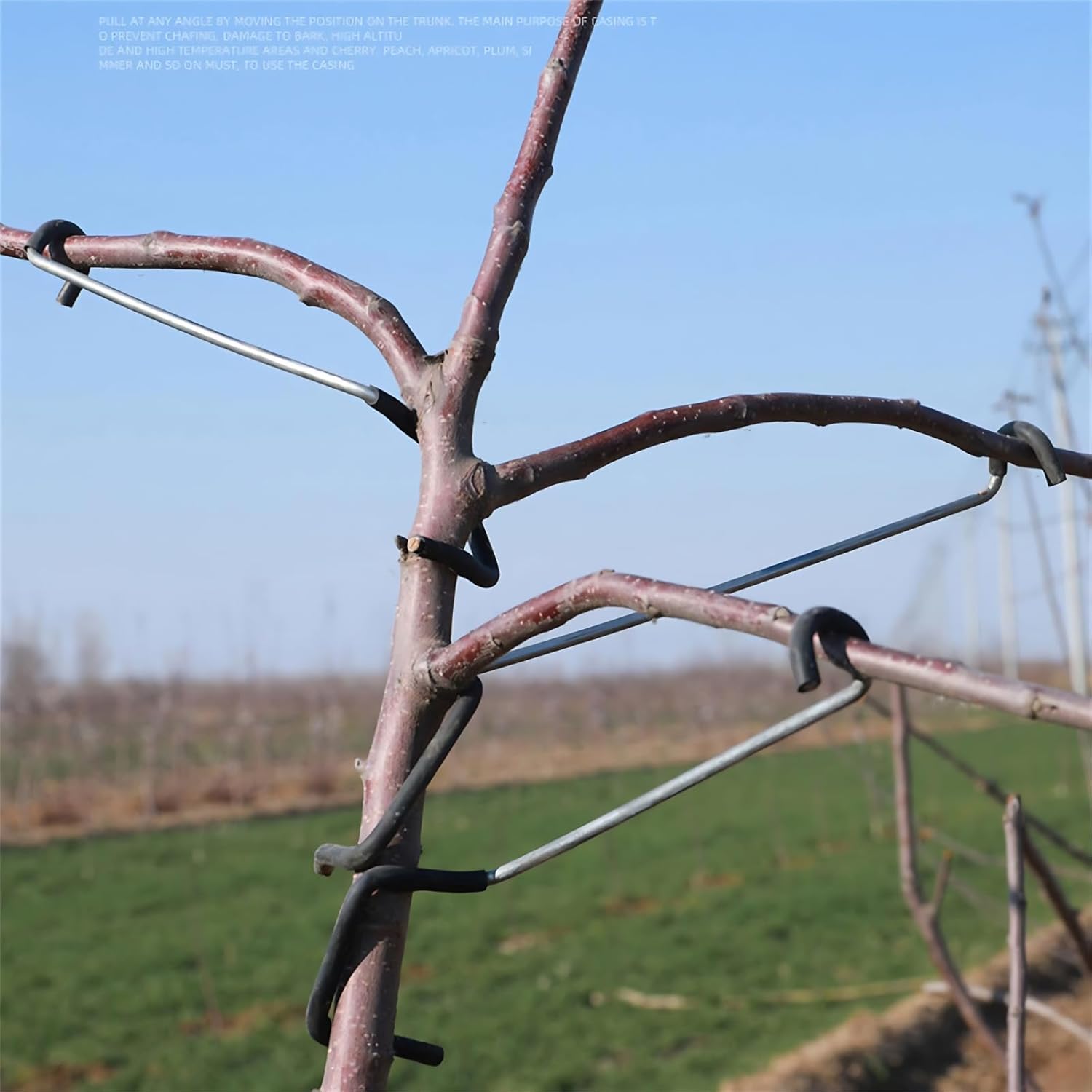 Verstellbarer Obstbaum-Astform – Bonsai Gardener Bewertung und Preis