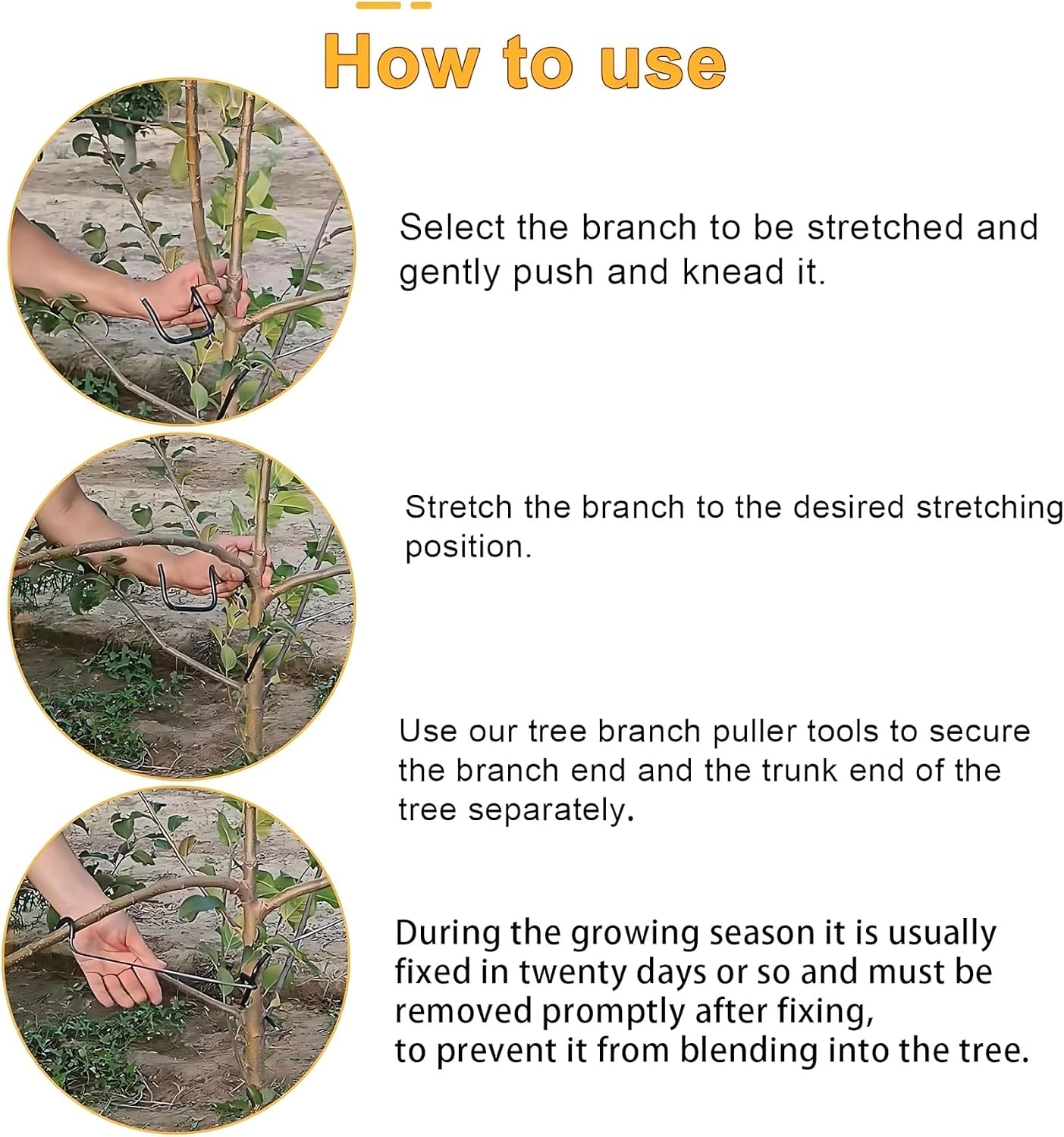 Verstellbarer Obstbaum-Astform – Bonsai Gardener Bewertung und Preis
