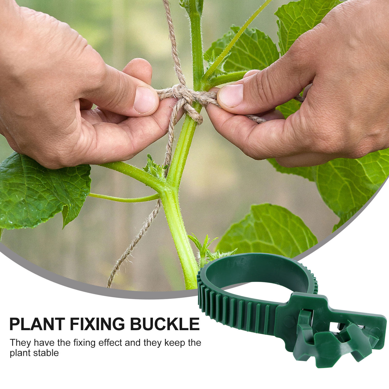 20 Stück Rankenbefestigungssch – Bonsai Gardener Bewertung und Preis