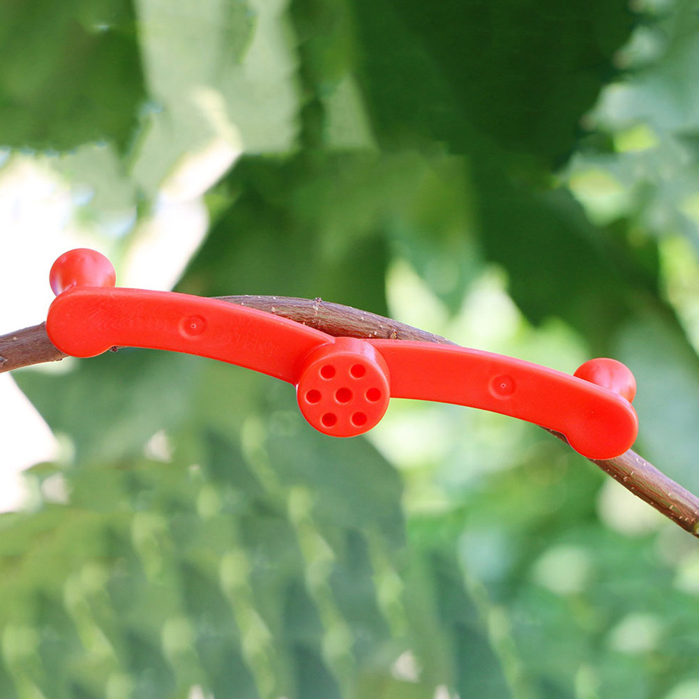 10 Stück Verstellbare Pflanzen – Bonsai Gardener Bewertung und Preis
