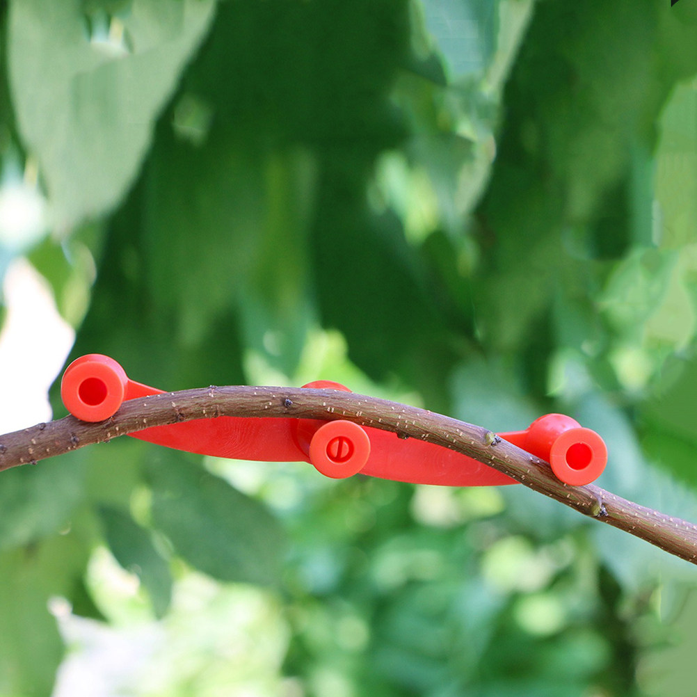 10 Stück Verstellbare Pflanzen – Bonsai Gardener Bewertung und Preis